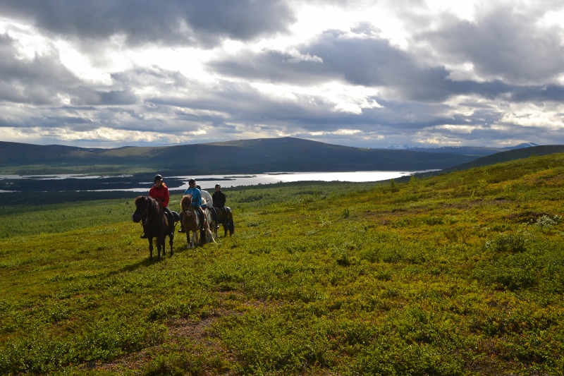SEOFE2D - Weekend paardrijden in zomers Lapland (8).jpeg