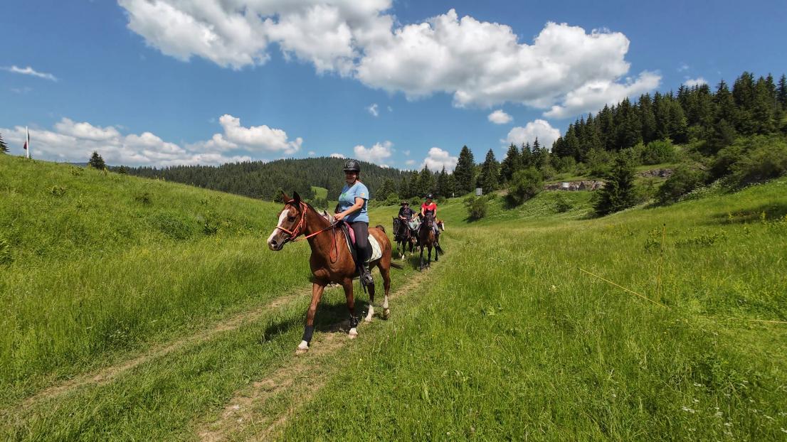 Te paard door de wilde Rhodopen – een avontuurlijke bergtocht 