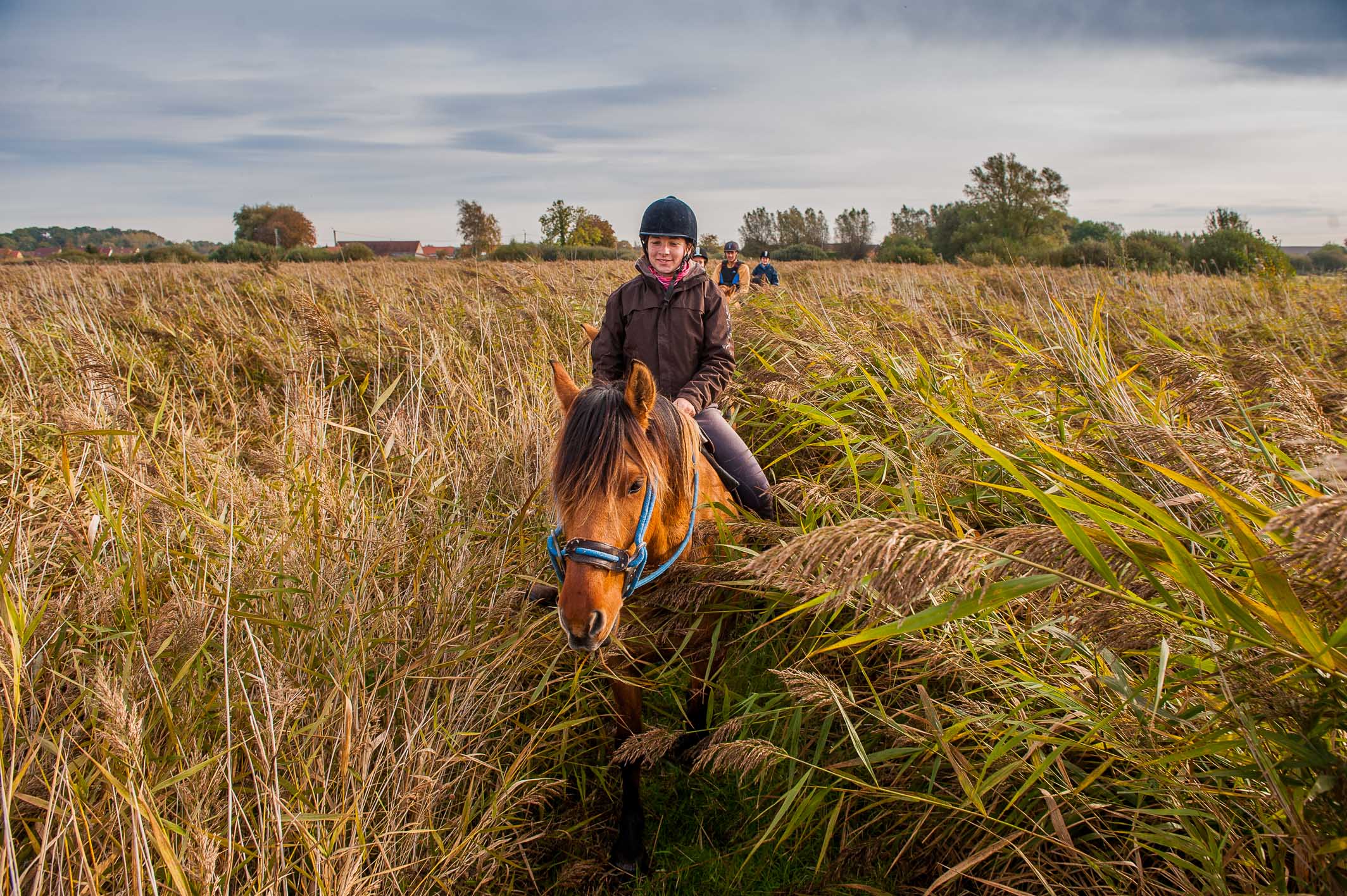 FREEH2D - Tweedaagse tocht met Henson paarden 7.jpeg
