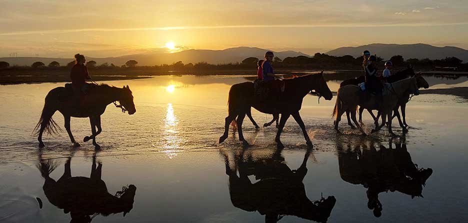 FRFEG - Trektocht te paard in de Pyreneeen (4).jpeg