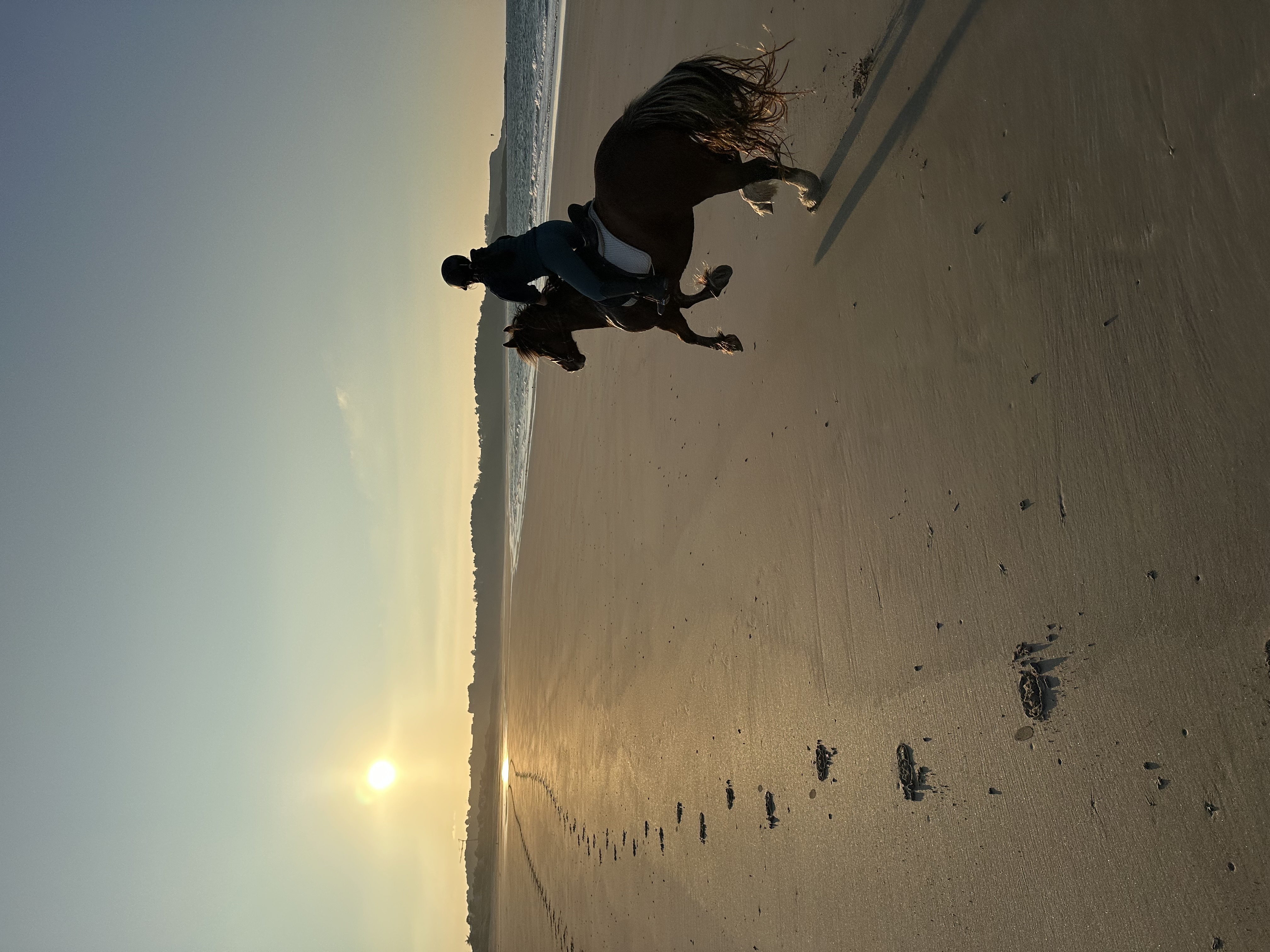 FRSOE - Paardrijden in Bretagne Frankrijk (10).jpg