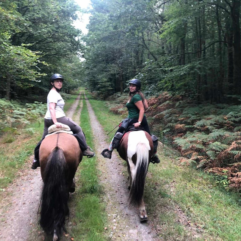 FRECCWBP - Weekend paardrijden op IJslanders in Bretagne (8).jpg