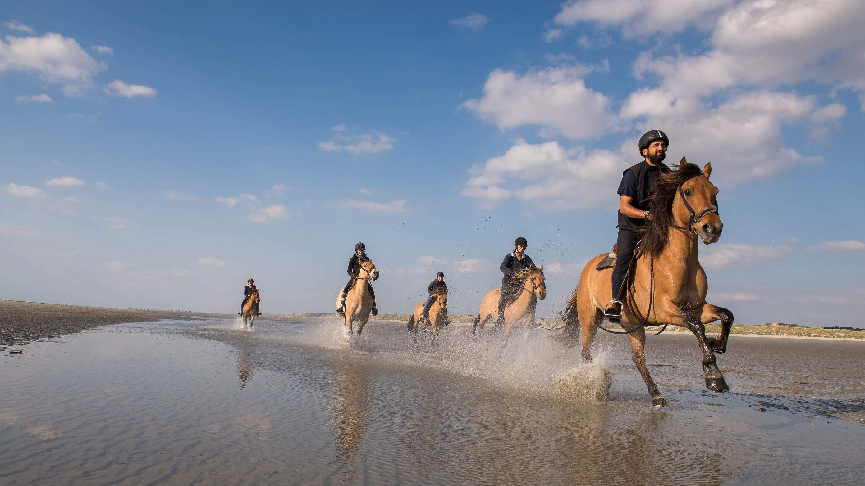 FREEH2D - Tweedaagse tocht met Henson paarden 2.jpeg