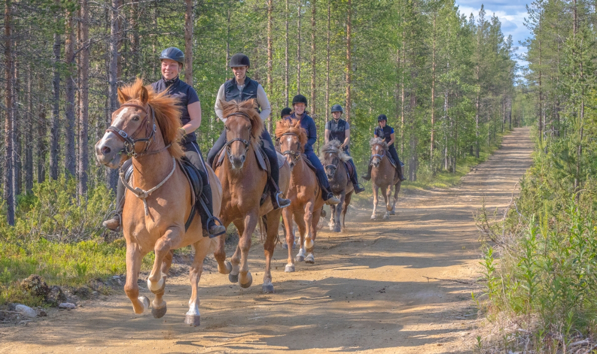FIPOL-paardrijvakantie-Finland.jpg