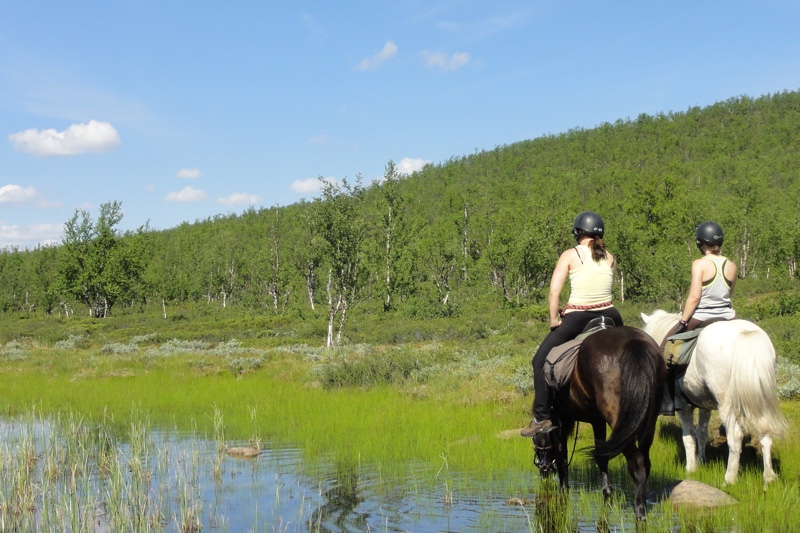 SEOFE4D - Paardrijvakantie in zomers Lapland (4).jpeg