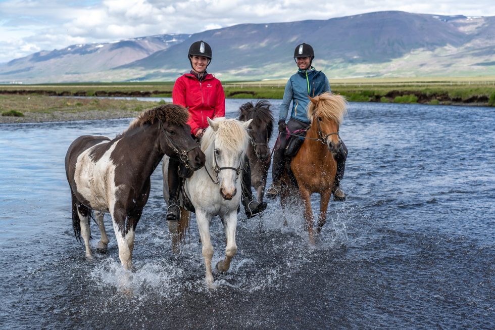ISHESHT-Paardrijvakantie-in-Skagafjörður-Noord-IJsland.jpeg