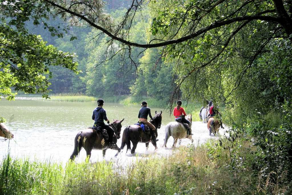 PLCHBKT - Doorkruis de Poolse Kaszuby te paard - 01.jpg PLCHBKT - Doorkruis de Poolse Kaszuby te paard - 01.jpg