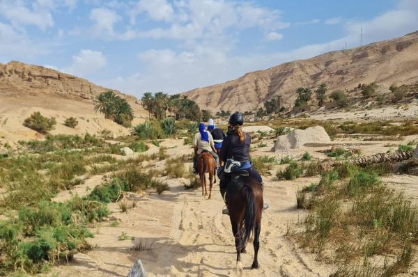 TNBECMO - Avontuurlijke trektocht te paard door bergen en oases in Tunesië.jpg